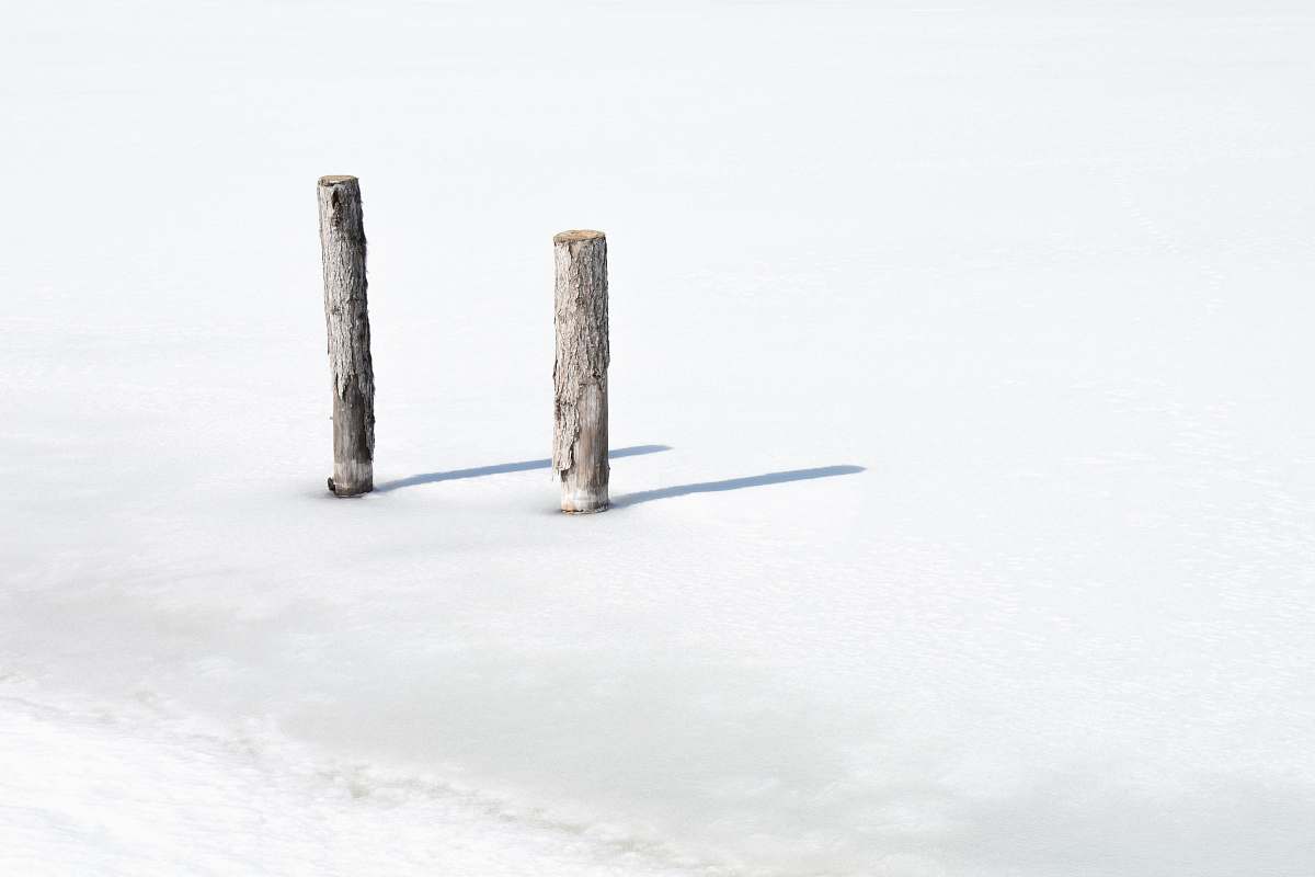 tree stump two tree logs teichalm
